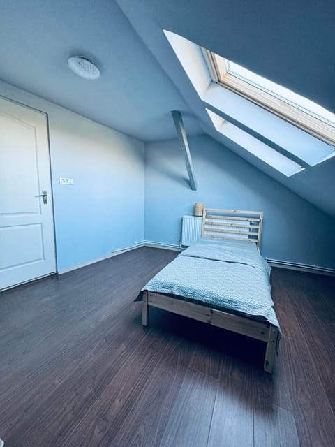 Serbian House Bed and Breakfast in Timisoara