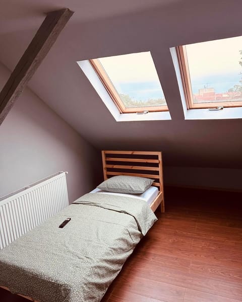 Serbian House Bed and Breakfast in Timisoara