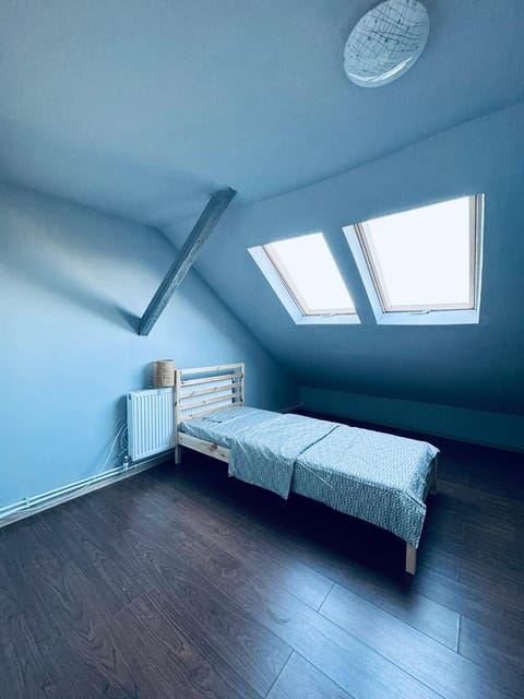 Serbian House Bed and Breakfast in Timisoara