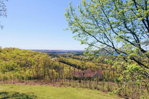 Hummingbird Hideaway House in Branson