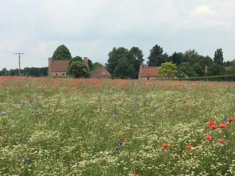 Off site, Natural landscape, Summer