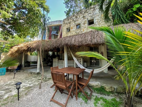 Property building, Patio, Garden, Garden view