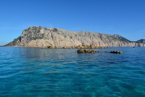 Snorkeling