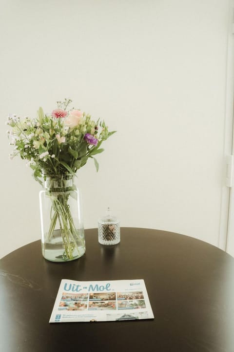 De Wilden Ezel Bed and Breakfast in Mol