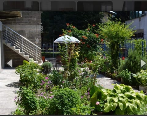 Spring, Day, Garden, Garden view