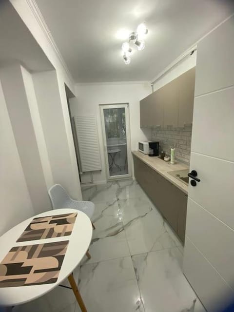 Apartament Daria Apartment in Timisoara