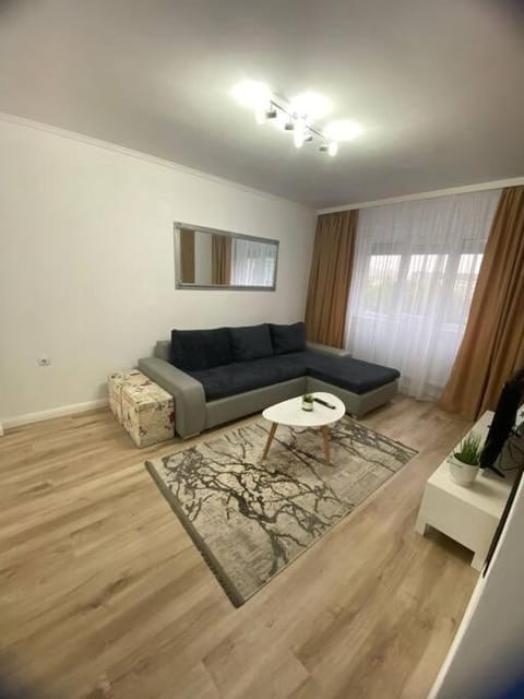 Apartament Daria Apartment in Timisoara