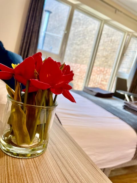 cambridge city centre immaculate Studio sleeps 2 - central location paradise street Apartment in Cambridge