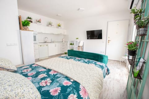 Bed, TV and multimedia, Kitchen or kitchenette, Photo of the whole room, Bedroom