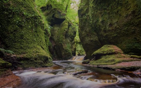 The Mar Huts - The Lomond Hut Nature lodge in Scotland