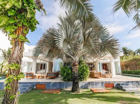 Property building, Patio, Spring, Day, Garden, Garden, Garden view