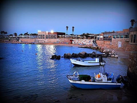 Sea view, Area and facilities