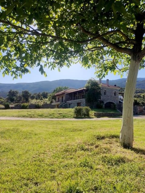 Property view