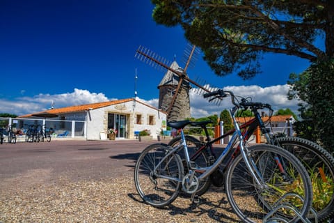 Day, Cycling