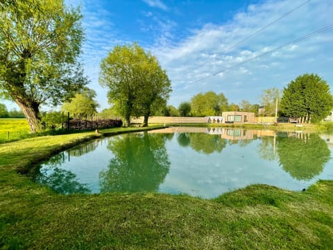 Spring, Day, Natural landscape, Garden, Garden view, Lake view