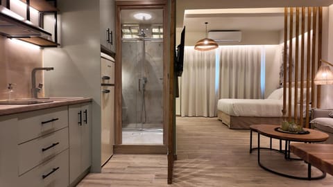 Bathroom, Kitchen or kitchenette, Living room, Seating area