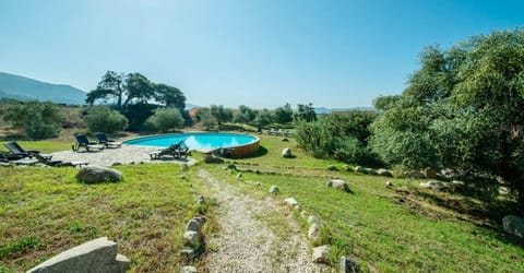 Garden, Swimming pool, sunbed