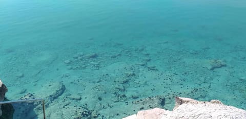 Apartments Sanda Tribunj Apartment in Šibenik-Knin County, Croatia