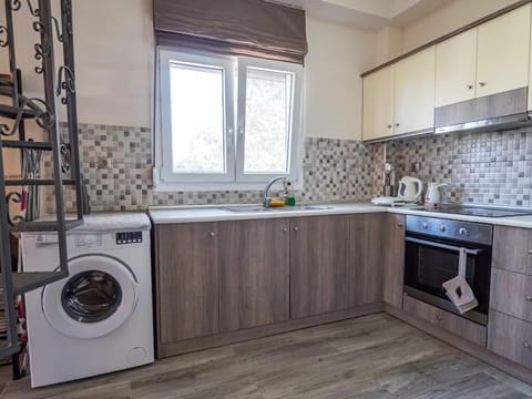 Kitchen or kitchenette, oven, pet friendly, stove, washing machine