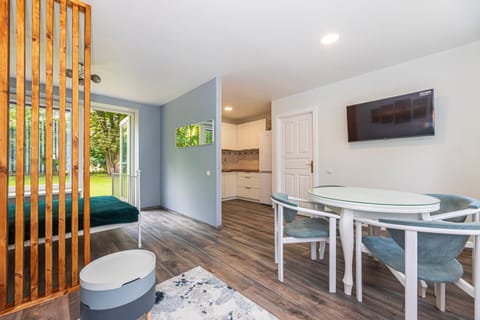 Kitchen or kitchenette, Living room, Seating area, Dining area