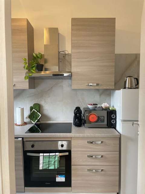 Coffee/tea facilities, Kitchen or kitchenette, minibar, pet friendly, stove