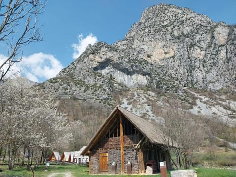 Natural landscape, Summer, Mountain view