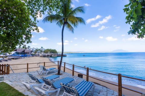 Nearby landmark, Day, Natural landscape, Beach, Sea view, sunbed