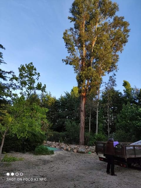 Natural landscape, Garden