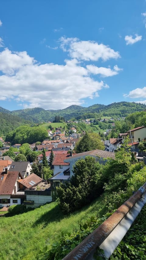 Ferienhaus Bühlertal mit 3 Fewos House in Baden-Baden