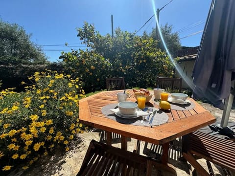 Bas de villa provençale 2 pièces avec Jardin Apartment in Villeneuve-Loubet