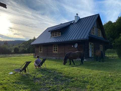 Day, People, Garden, Animals, Pets