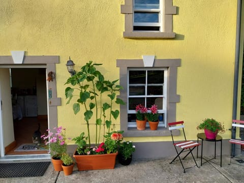 Felicity Cottage, W91 D1W3 Bed and Breakfast in Wicklow, Co. Wicklow, Ireland