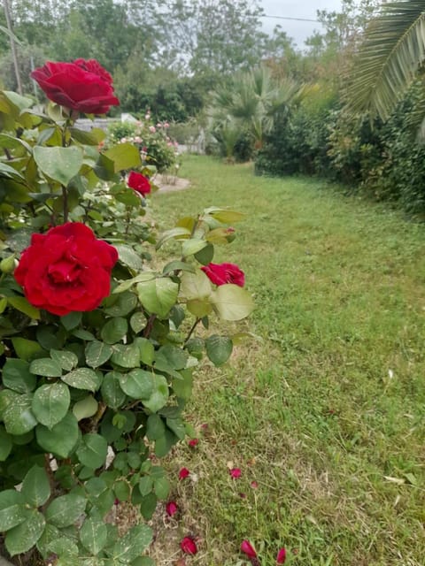 villa Rodo House in Magnesia Prefecture, Greece