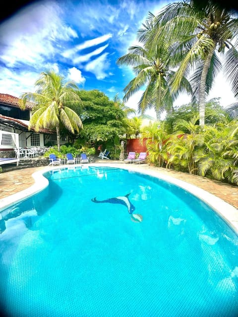Pool view, Swimming pool, sunbed