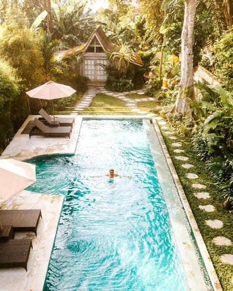 Pool view, Swimming pool