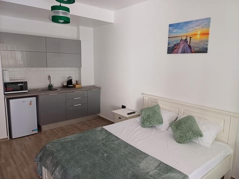 Bed, Kitchen or kitchenette, Photo of the whole room