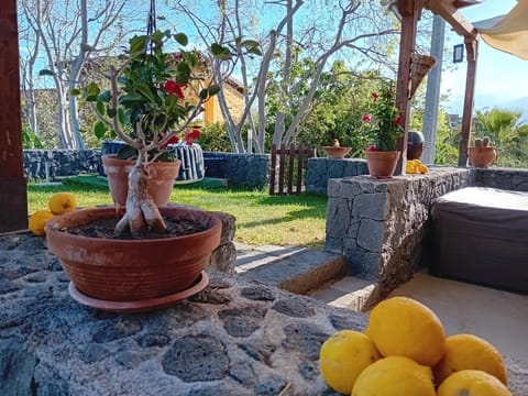 Patio, Day, Garden
