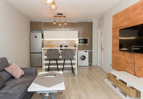 TV and multimedia, Kitchen or kitchenette, Living room, Seating area, Dining area, Evening entertainment, minibar, pet friendly