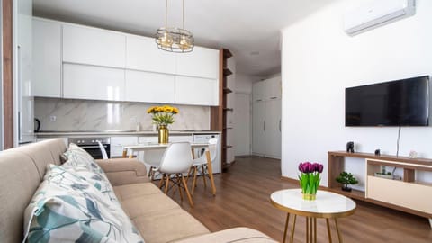 Living room, kitchen