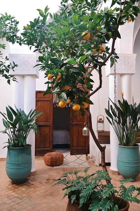 Patio, Garden, Garden view