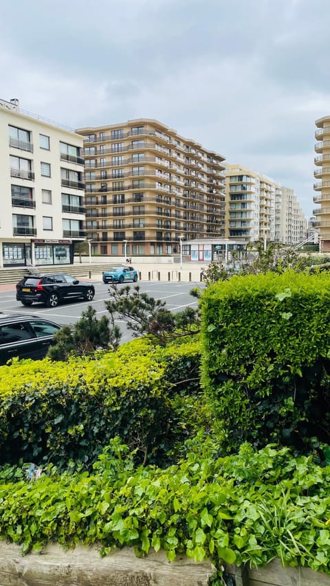 Studio Sia - Lichtrijke studio met balkon met zijzeezicht in hartje de Panne Apartment in De Panne