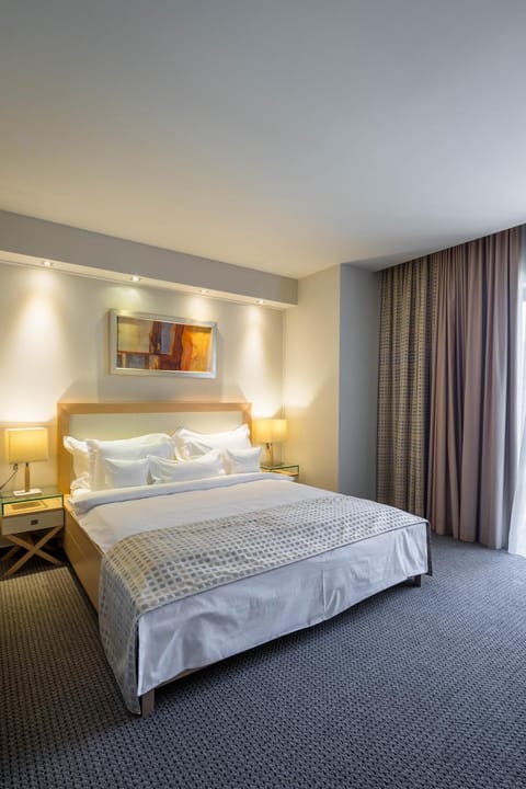 Hotel Rogge Hotel in Timiș County