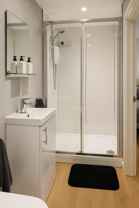 Rentals Leicester 4 - Free Street Parking Apartment in Leicester