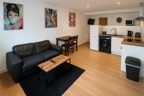 Rentals Leicester 4 - Free Street Parking Apartment in Leicester