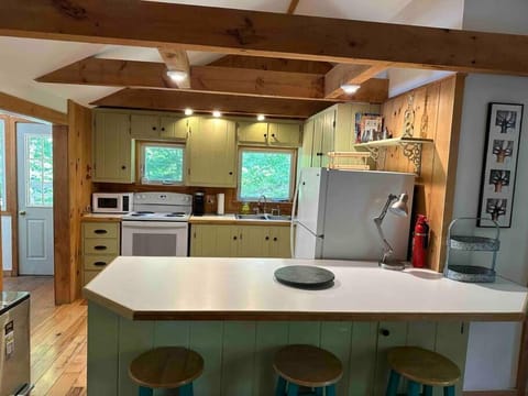 Terrapin Station - Lakeside Rustic 3 Home on Lake Winona House in Center Harbor