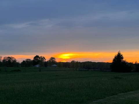 Natural landscape, View (from property/room)