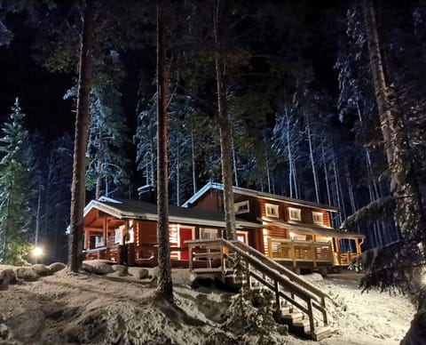 Property building, Night, Natural landscape, Winter
