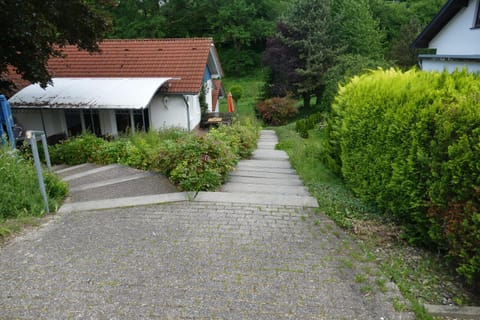 Property building, Garden, Garden view