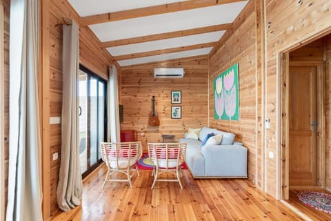 Living room, Seating area, air conditioner