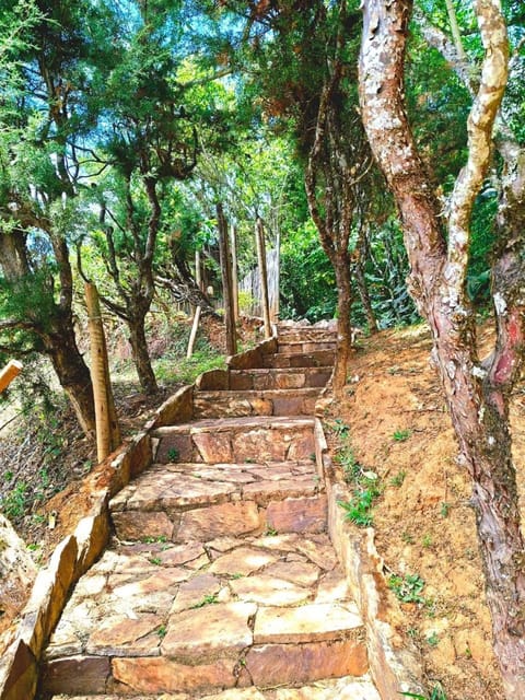 Fazenda Quinta da Esperança- Pousada e Lazer Inn in Tiradentes